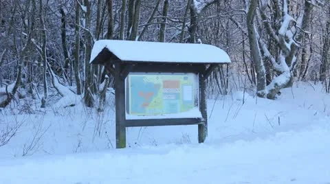 Snow 3 Video stock 13333020