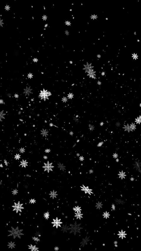 Snow 31 Stock Footage 251274279