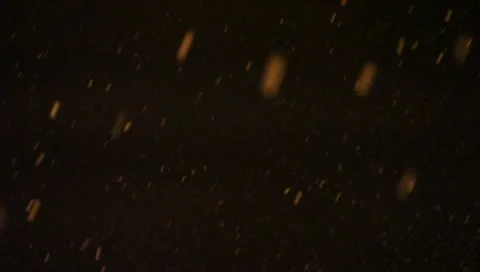 Snow 3311 Stock Footage 1060816