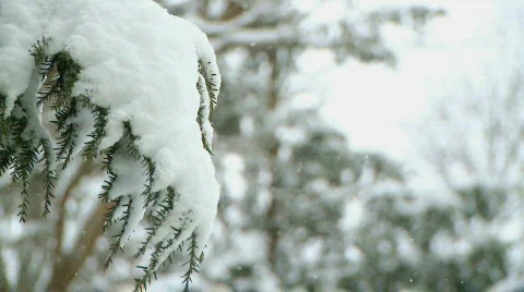Snow (4 of 9) Stock Footage 100889