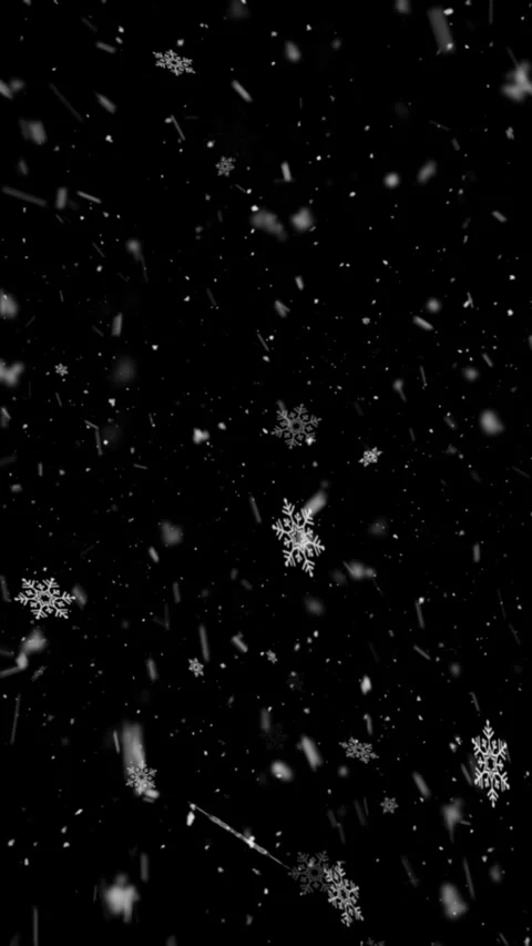 Snow 45 Stock Footage 251274495