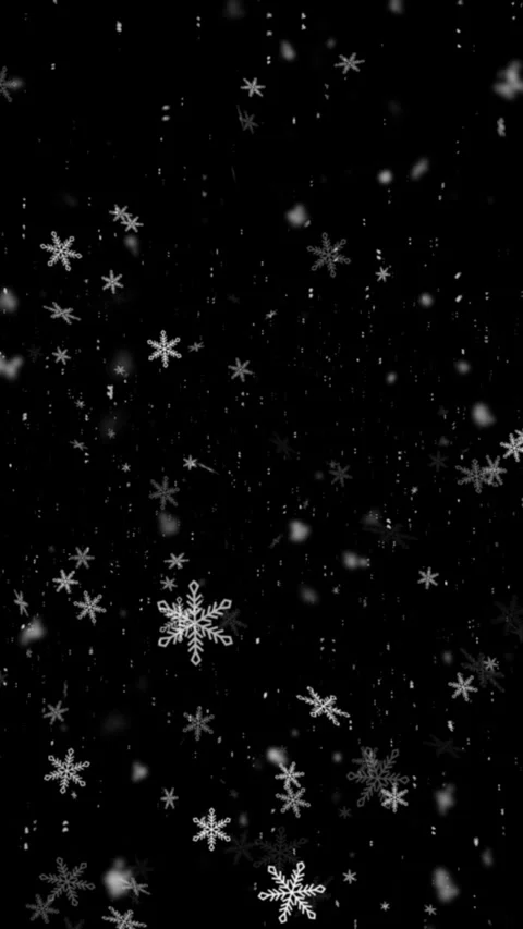 Snow 47 Stock Footage 251274523