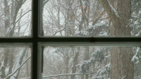 Snow (8 of 9) Video stock 100944