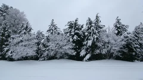 Snow accumulating Stock Footage 22247080
