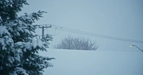 Snow accumulation covered coniferous bare tree pan right to light pole electric 스톡 동영상 258383402