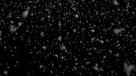 Snow Aerial Falling Down Thick - Medium Shot - Seamless Loop Stock Footage 120873600