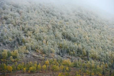 Snow in alaska Stock Photos