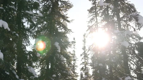 Snow Alaska Trees Mountain Stock Footage 38780107