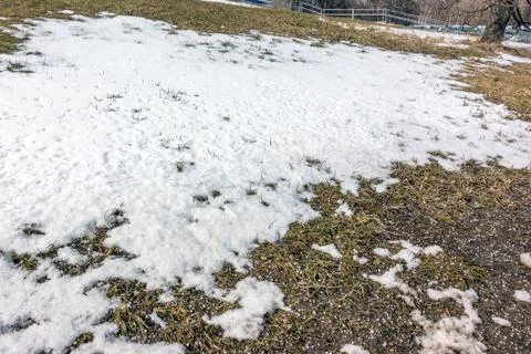 The snow is almost gone. Stock Photos