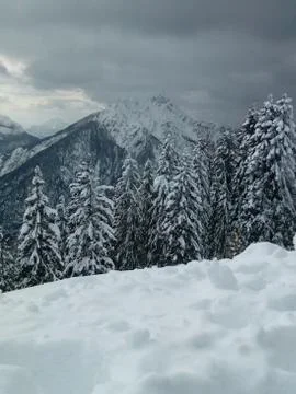Snow in the Alps Stock Photos
