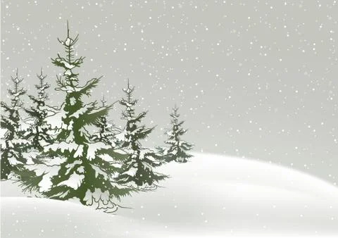Snow And Conifers Stock Illustration