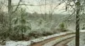 snow and dirt road focus on tree limbs Vídeos en HD
