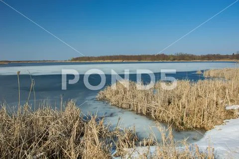 Snow and dry reeds on the shore of a frozen lake. Horizon and blue sky Stock Photos