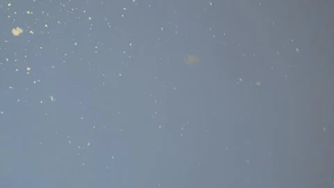 Snow and dusk Video stock 224977548