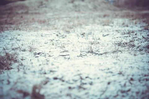 Snow and grass 写真素材