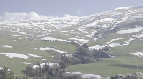 Snow and grass on the sloping surface of a mountain plateau Lagonaki Stock Footage 50882117