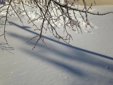Snow and ice 写真素材