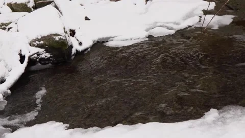 Snow and Ice Surrounding a Winter Brook Stock Footage 296646259