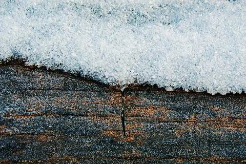 Snow and ice on a tree bark. Stock Photos