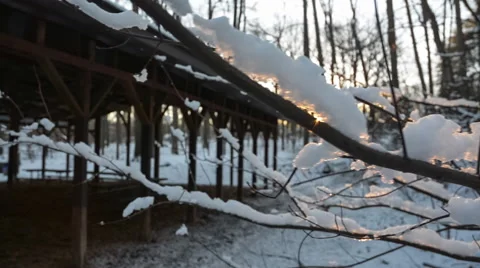 Snow and Ice on a Tree Branch 스톡 동영상 56567290