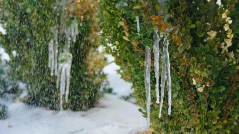 Snow and Icicles Vidéo 302532733