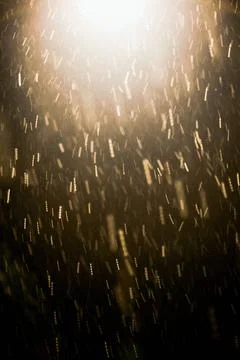 Snow and light background Falling snow and light in the night, use for win... Stock Photos