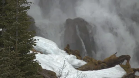 Snow and Pine Trees in front of Tumalo Falls Stock Footage 88850628