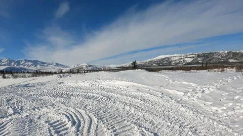 Snow and pines making a beautiful, peaceful winter scene in central Alaska Vidéo 342085326