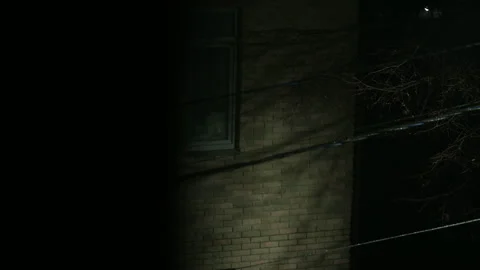 Snow and rain fall, illuminated by house lights. Vidéo 322822268