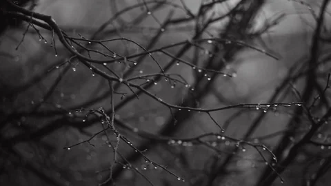 Snow and Rain Video stock 74012006