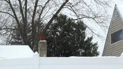 Snow and rooftop Stock Footage 149449162