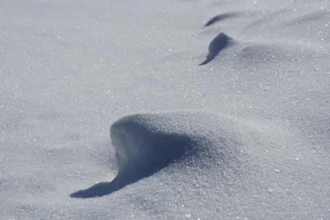 Snow and shadows. texture background snow surface the snow 스톡 사진