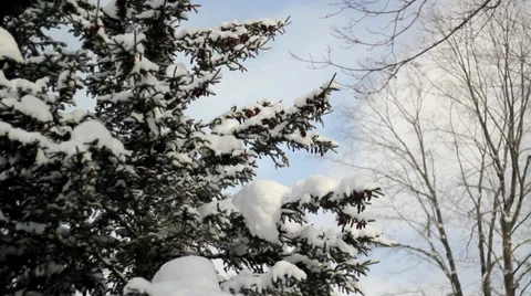 Snow and Sun Stockbeeldmateriaal 33996096