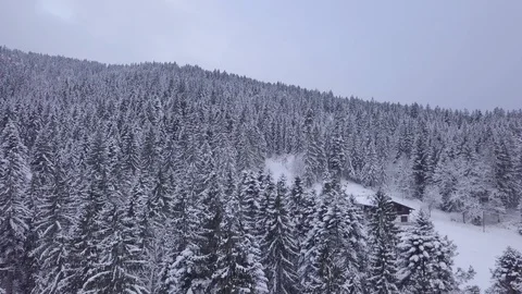 Snow and Tree covered Mountain  Vídeo Stock 88709126