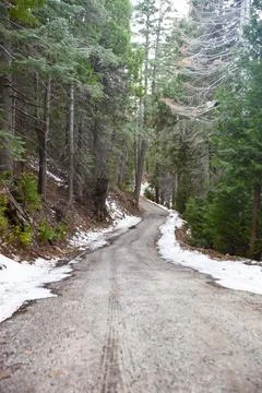 Snow and Tree Lined Mountain Road in Skyforest, California Stock Photos