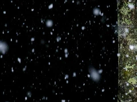 Snow and tree 스톡 사진