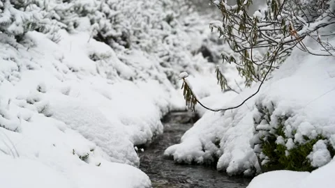 Snow and water. Stock Footage 255510849