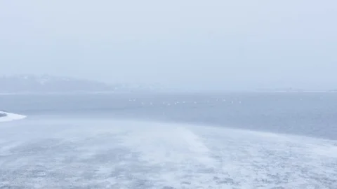 Snow and Wind 4k Time Lapse Winter Wild Nature Scandinavia Stock Footage 102103952