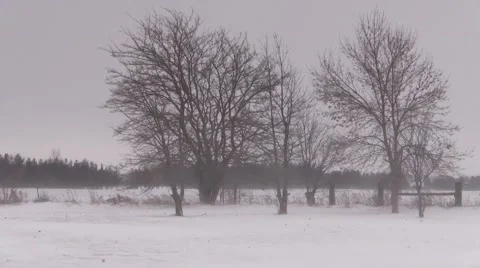 Snow And Wind Stock Footage 45726241