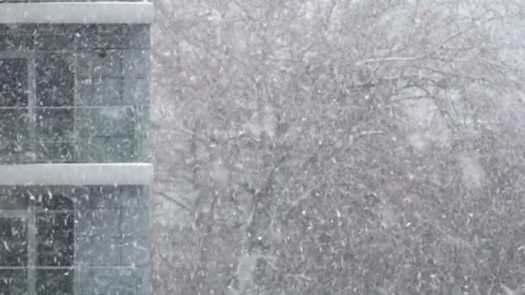 Snow and wind shakes a tree against of windows Stock Footage 116273276
