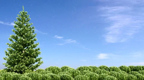 Snow animation with green tree Stock Footage 33185728