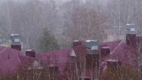 Snow in april Video stock 78088107