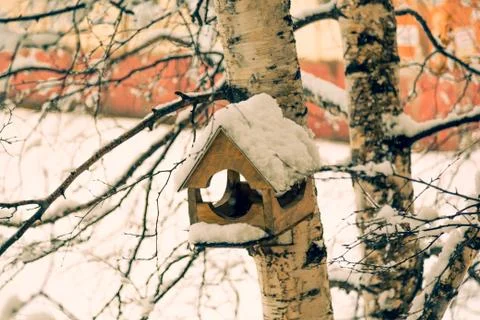 Snow in April 스톡 사진