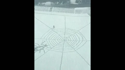 Snow art depicting spider on a web in Shandong, China Stock Footage 259721707