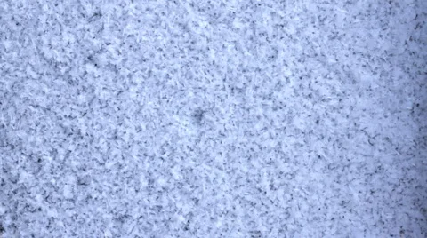 Snow background 3 Stock Footage 2348031