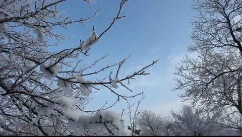 Snow background Vidéo 10715969