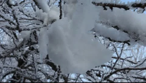 Snow background Stock Footage 10715988