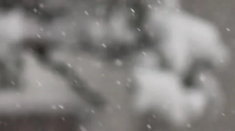 Snow background Stock Footage 44248450