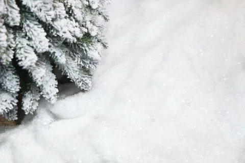 Snow background with a fragment of the tree Stock Photos