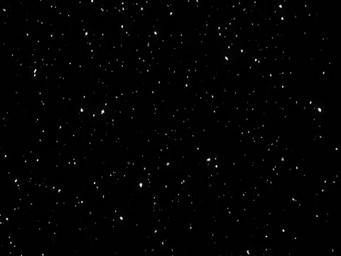 Snow Background. Loop animation. Alpha channel 库存影片 69720478